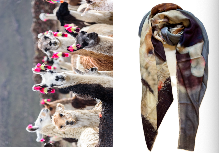 Llamitas Foulard Merino