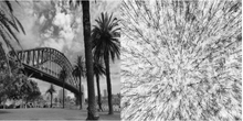 Load image into Gallery viewer, Palms Silk &amp; Wool Carrés
